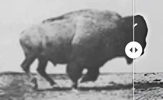 A blurry 112px buffalo GIF beside the sharp 448px upscaled result